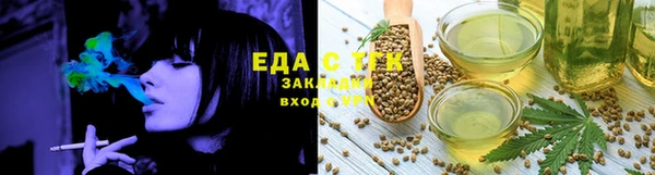 дживик Инта
