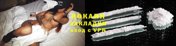 дживик Инта