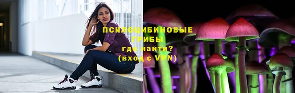 ешки Зеленодольск