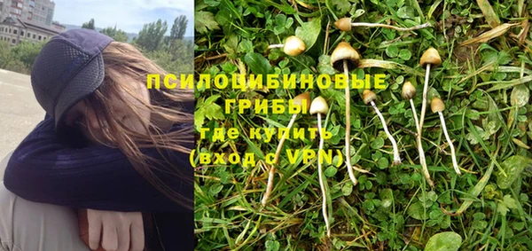 ешки Зеленодольск