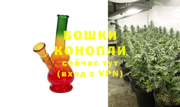 дживик Инта