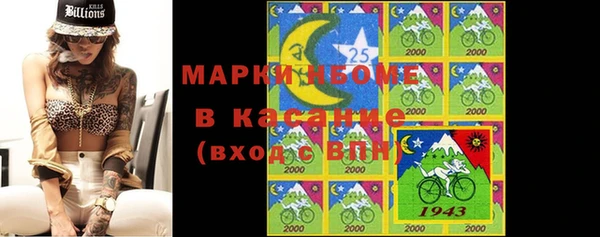 дживик Инта