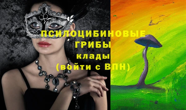 ешки Зеленодольск